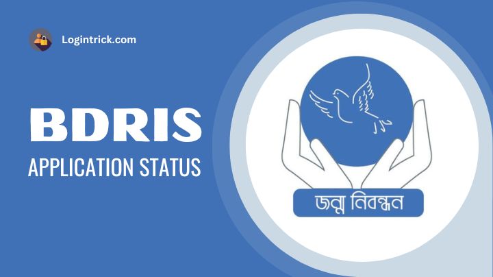 bdris application status